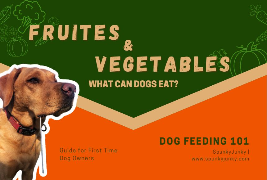 Should dogs clearance eat vegetables