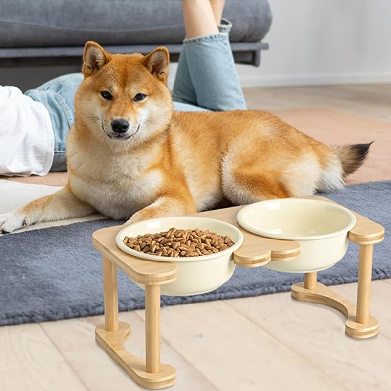 Romanesque Elevated Ceramic Pet Bowl Set