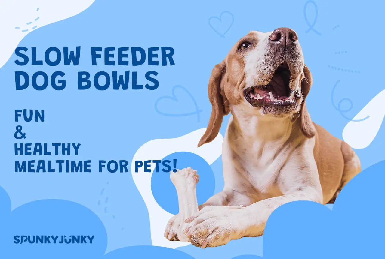 SpunkyJunky® - Slow Feeder Dog Bowl