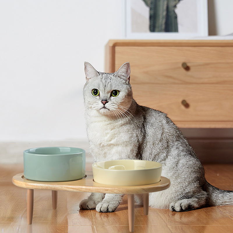 Raised Ceramics Slow Feeder Bowl Set