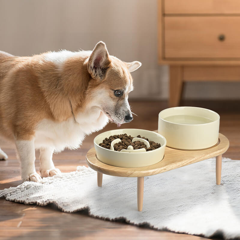 Raised Ceramics Slow Feeder Bowl Set