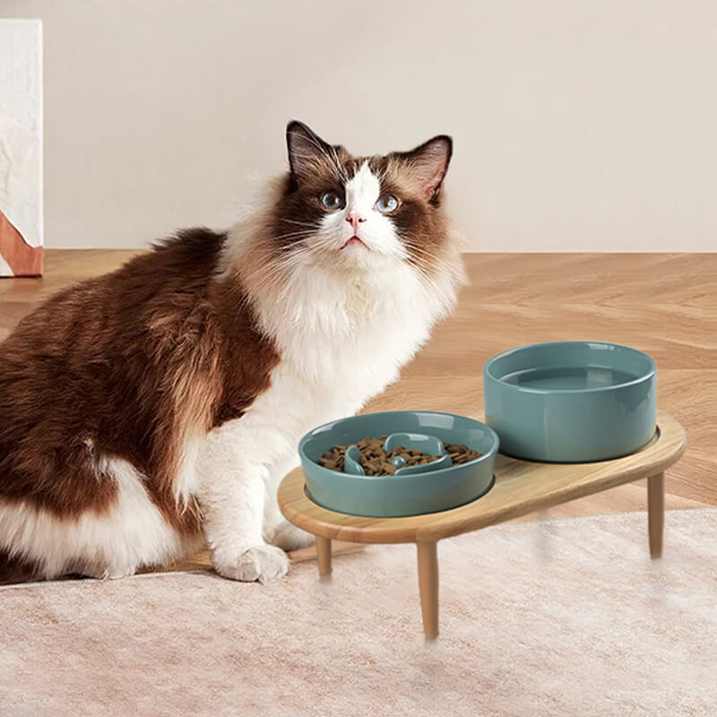 Raised Ceramics Slow Feeder Bowl Set