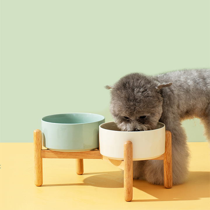 Elevated Dog Ceramics Food & Water Bowl Set with Wooden Stand