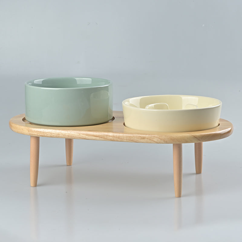 Raised Ceramics Slow Feeder Bowl Set