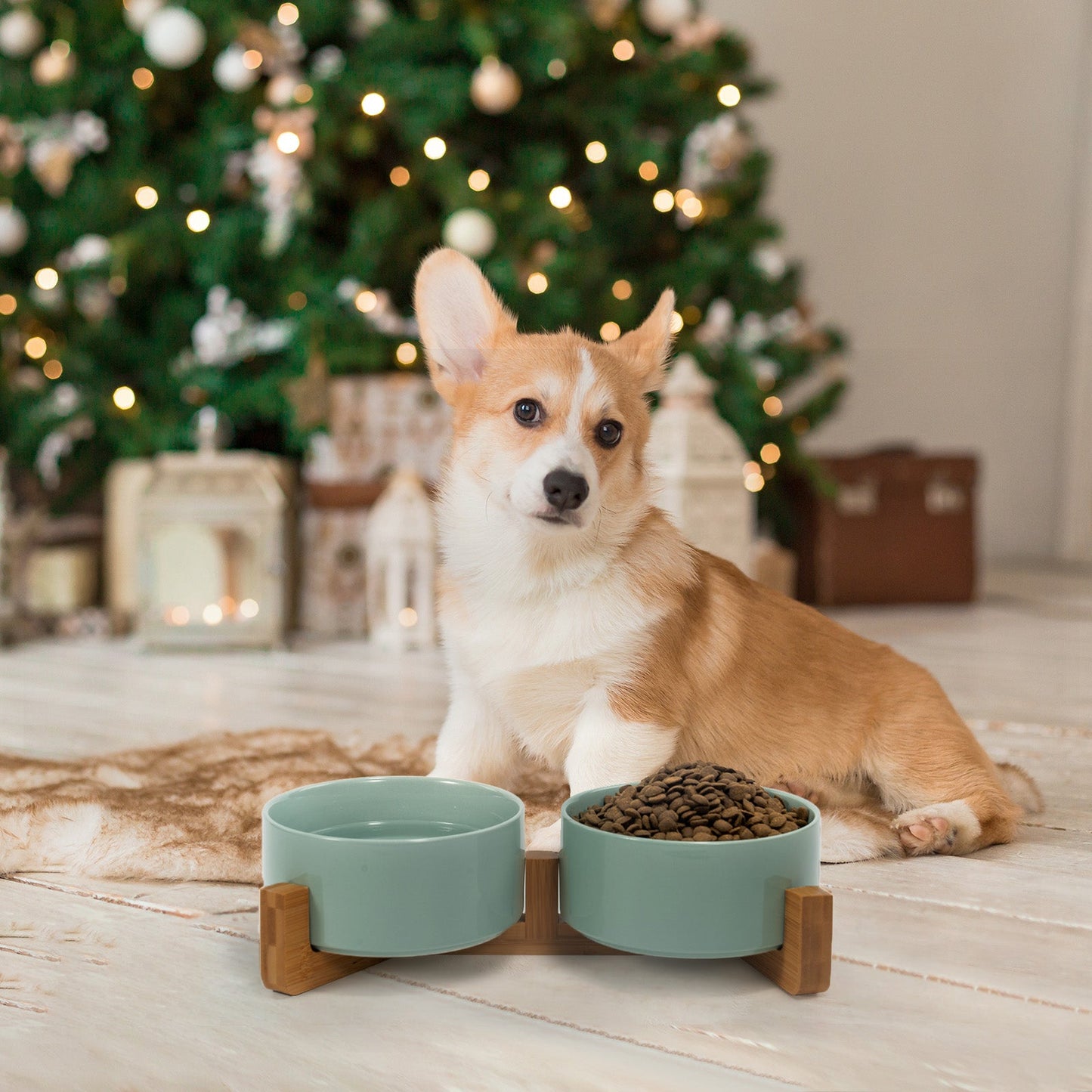 Non-Slip Ceramic Pet Bowl Set