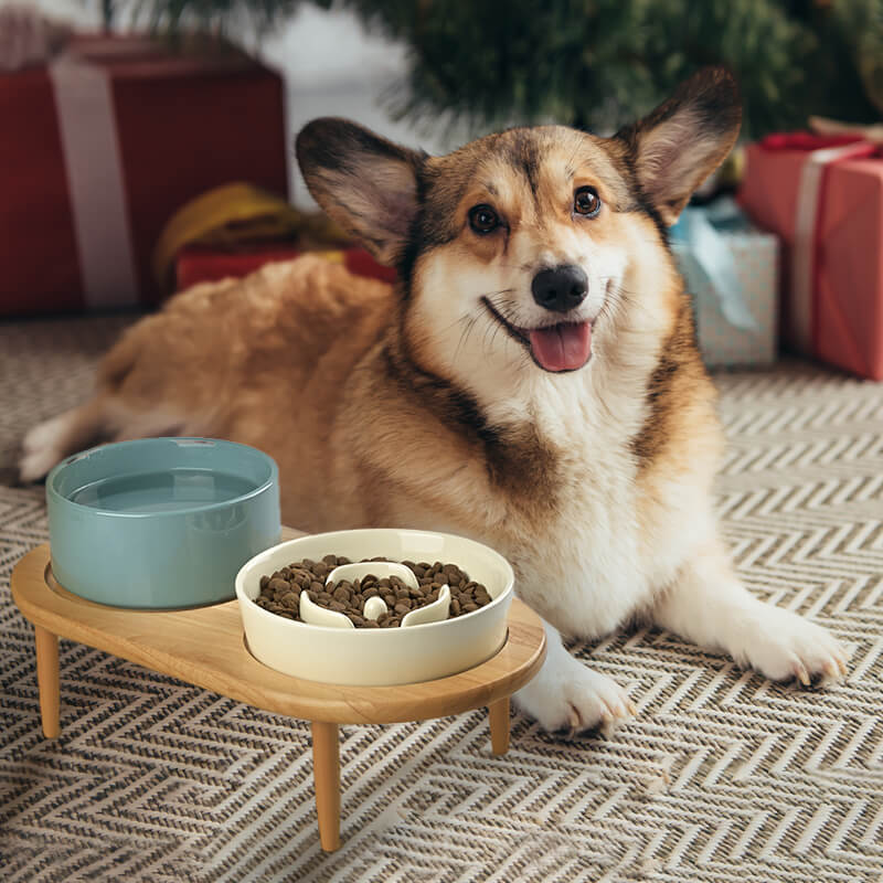 Raised Ceramics Slow Feeder Bowl Set