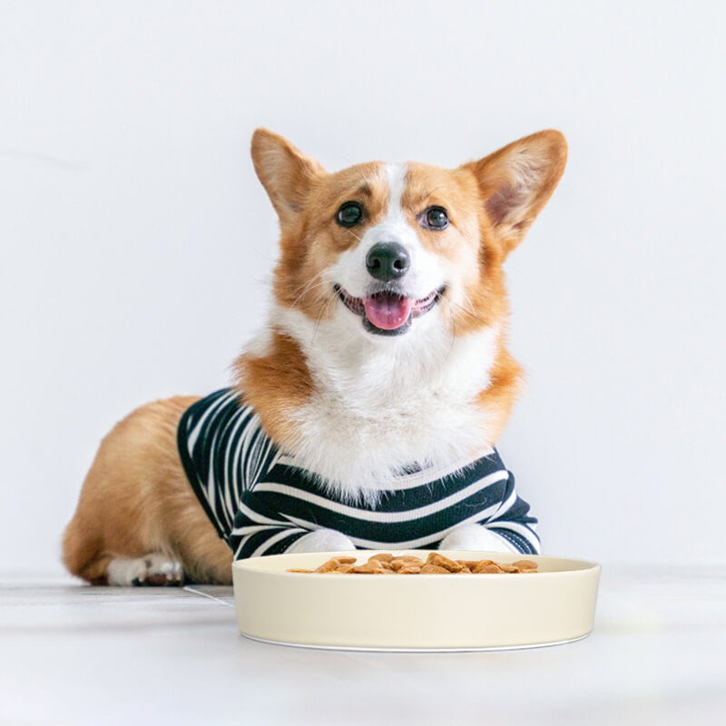 SpunkyJunky® - Slow Feeder Dog Bowl