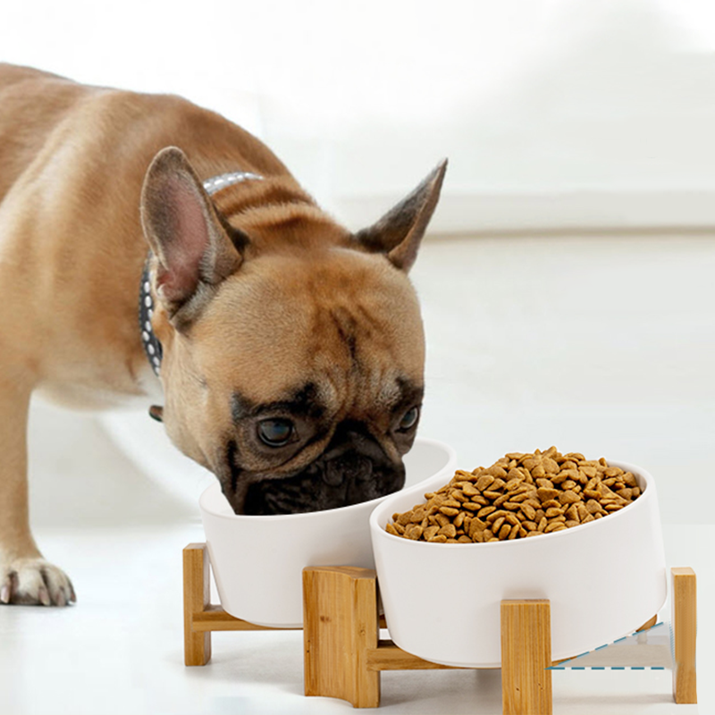 15° Slanted Ceramic Bowl Set with Wooden Stand | Tilted Food & Water Bowl