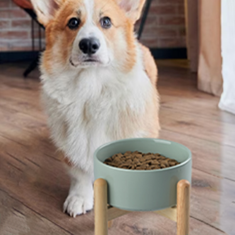 Elevated Dog Ceramics Bowl with Wooden Stand