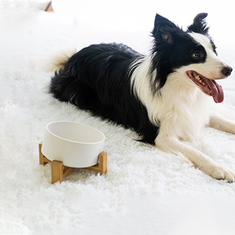 15° Slanted Ceramic Pet Bowl with Wooden Stand | Tilted Bowl for Cats & Flat Face Pets