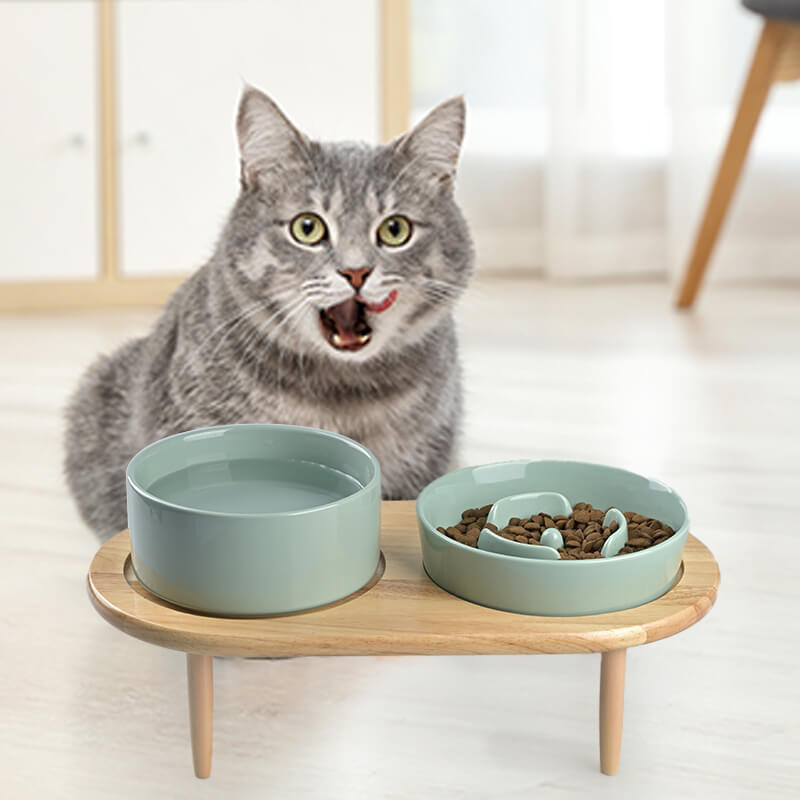 Raised Ceramics Slow Feeder Bowl Set