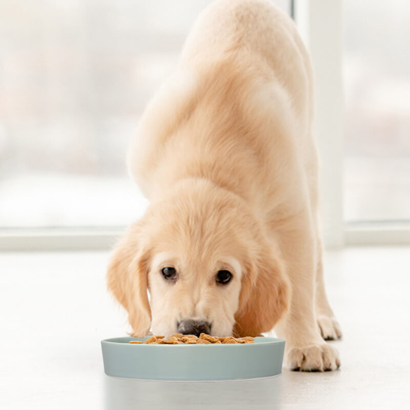SpunkyJunky® - Slow Feeder Dog Bowl