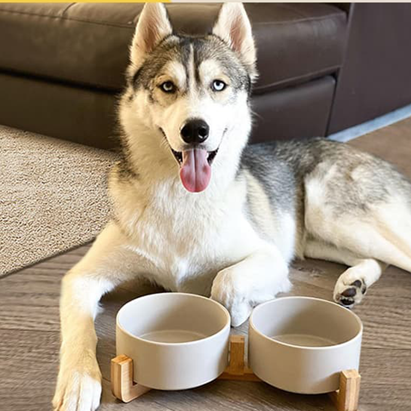 Non-Slip Ceramic Pet Bowl Set