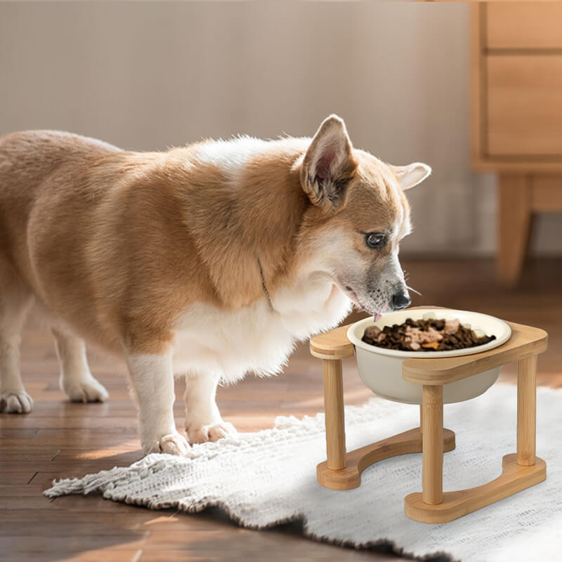 Romanesque Elevated Ceramic Pet Bowl