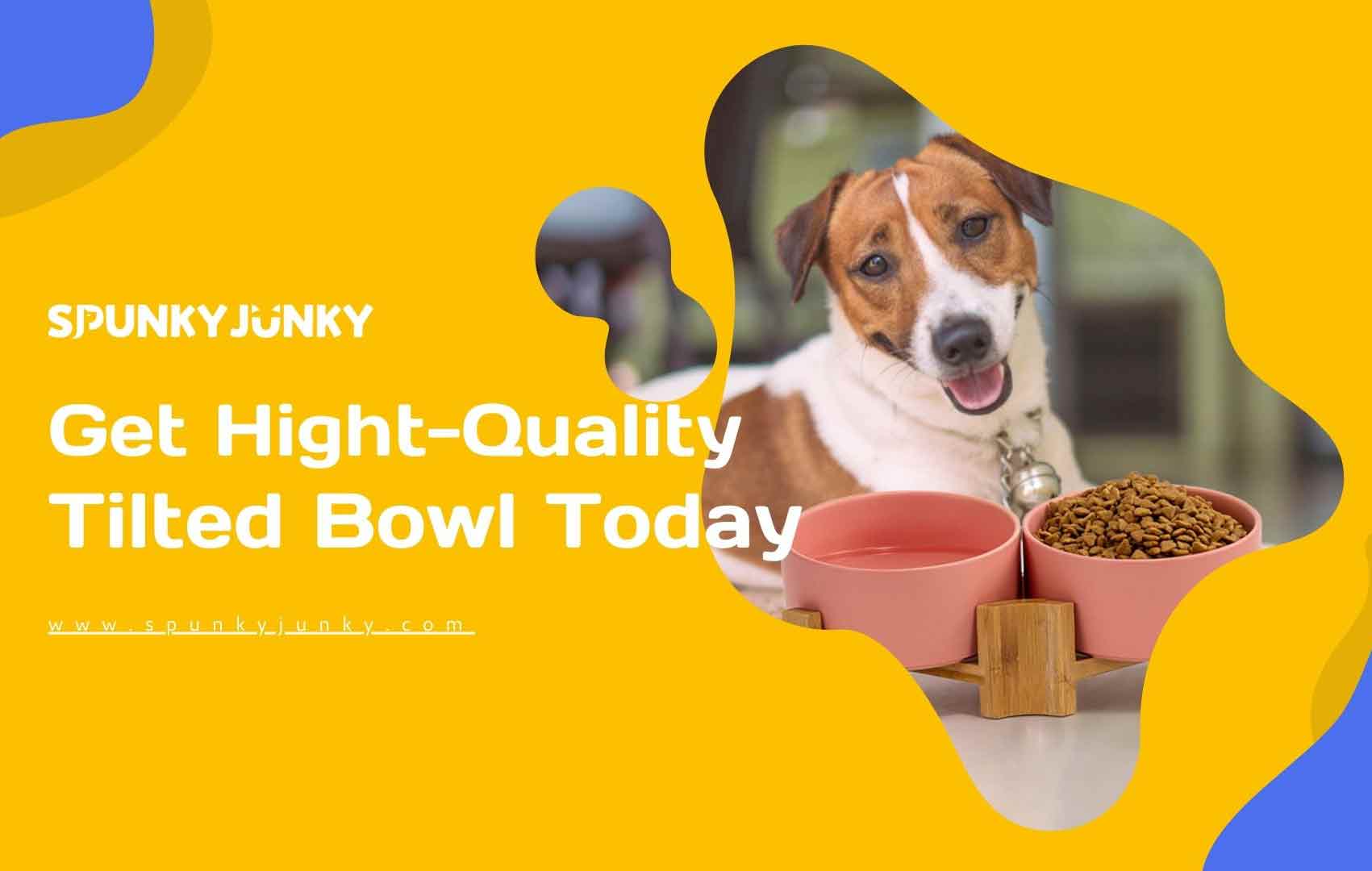 Frewinky Dog Bowls,Ceramic Dog-Food Bowl and Water Bowl Set for Medium  Sized Dogs,No Spill Non Skid Dog Bowl Mat and Tilted Double Pet Bowls,Set  of