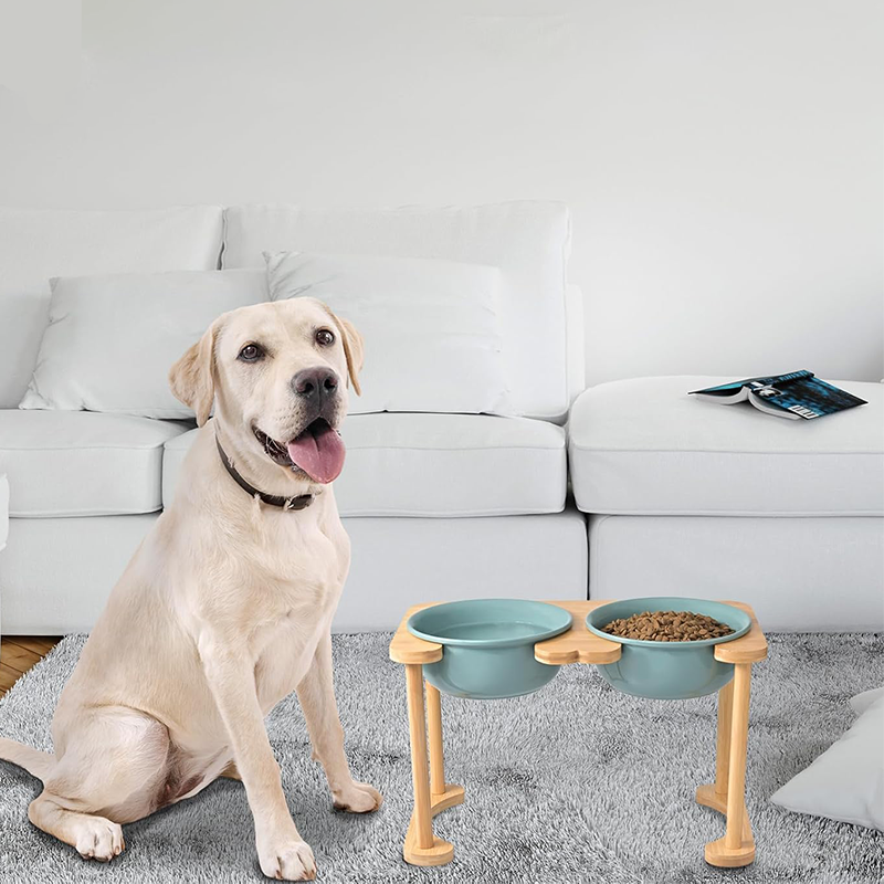 Romanesque Elevated Ceramic Pet Bowl Set