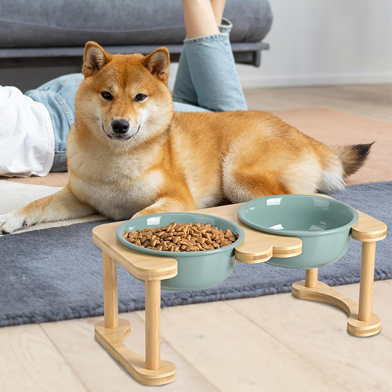 Romanesque Elevated Ceramic Pet Bowl Set