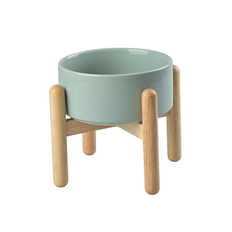 Elevated Dog Ceramics Bowl with Wooden Stand