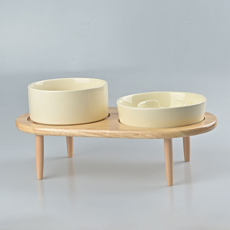 Raised Ceramics Slow Feeder Bowl Set