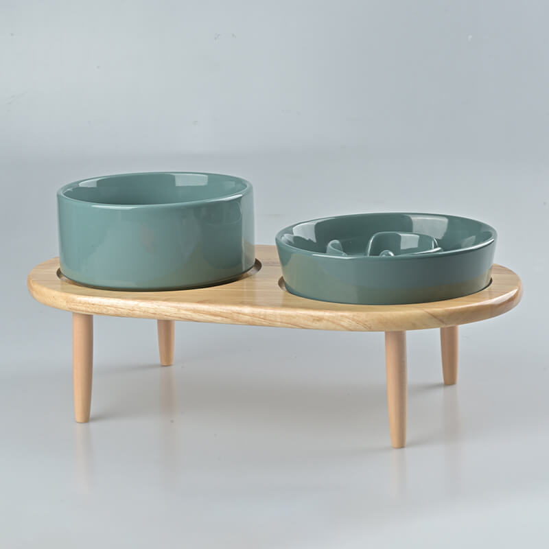 Raised Ceramics Slow Feeder Bowl Set