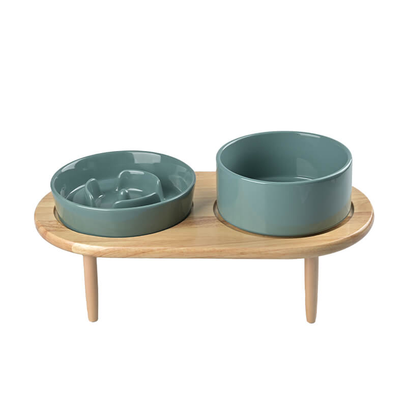 Raised Ceramics Slow Feeder Bowl Set