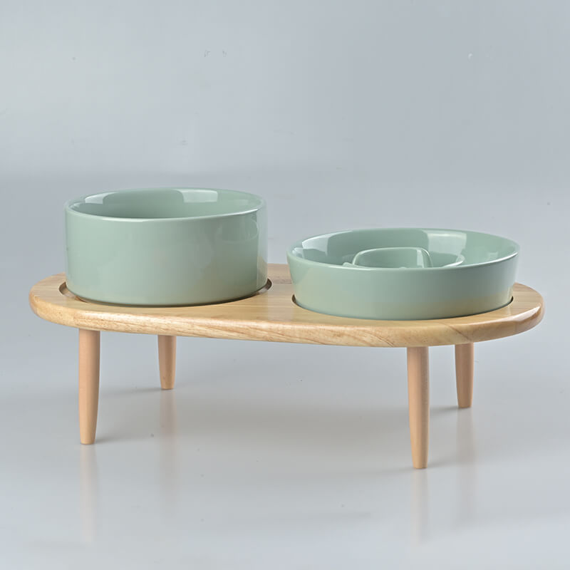 Raised Ceramics Slow Feeder Bowl Set