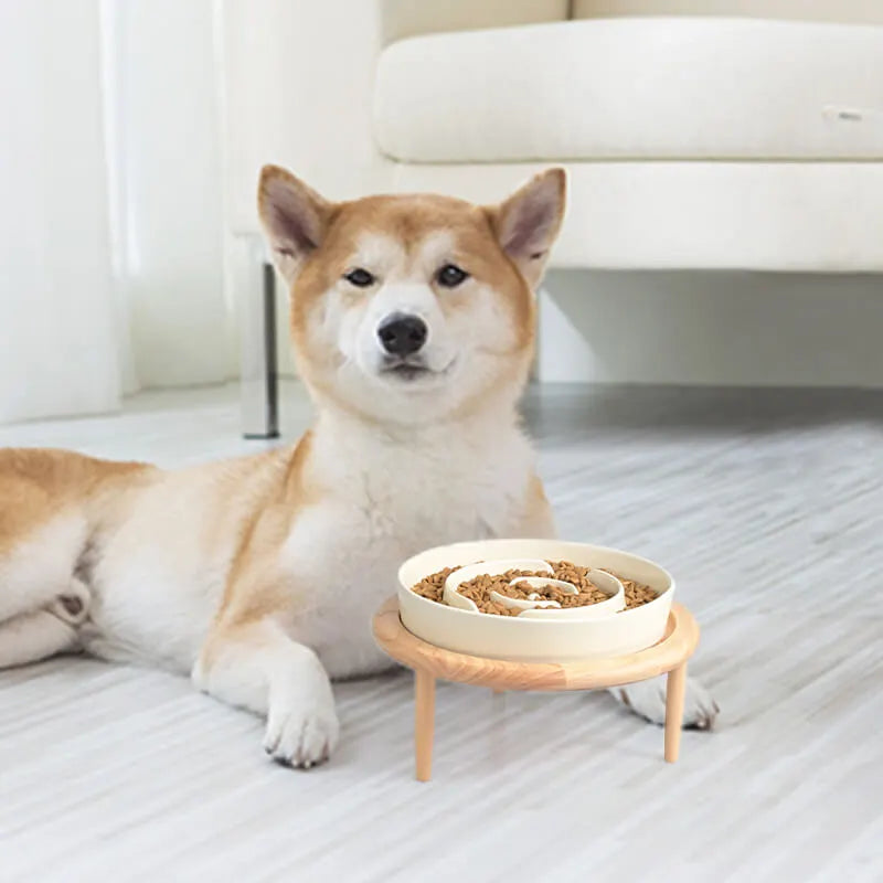 SpunkyJunky® - Slow Feeder Dog Bowl