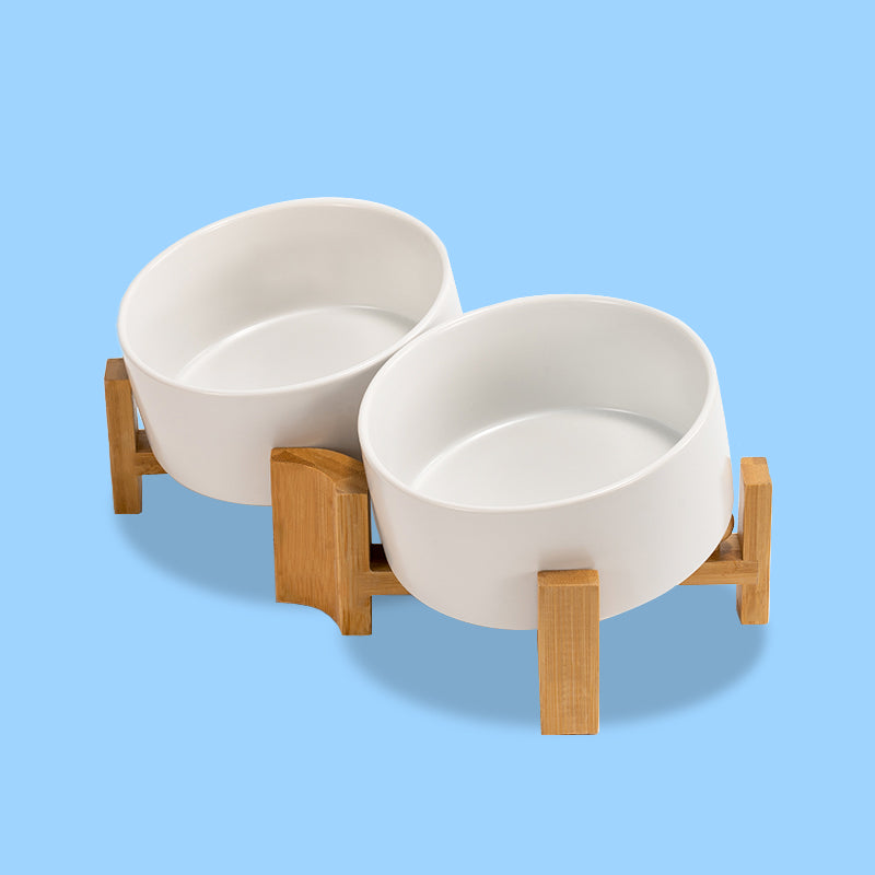 Spine Friendly Ceramic Tilted Dog Bowl Set – SpunkyJunky